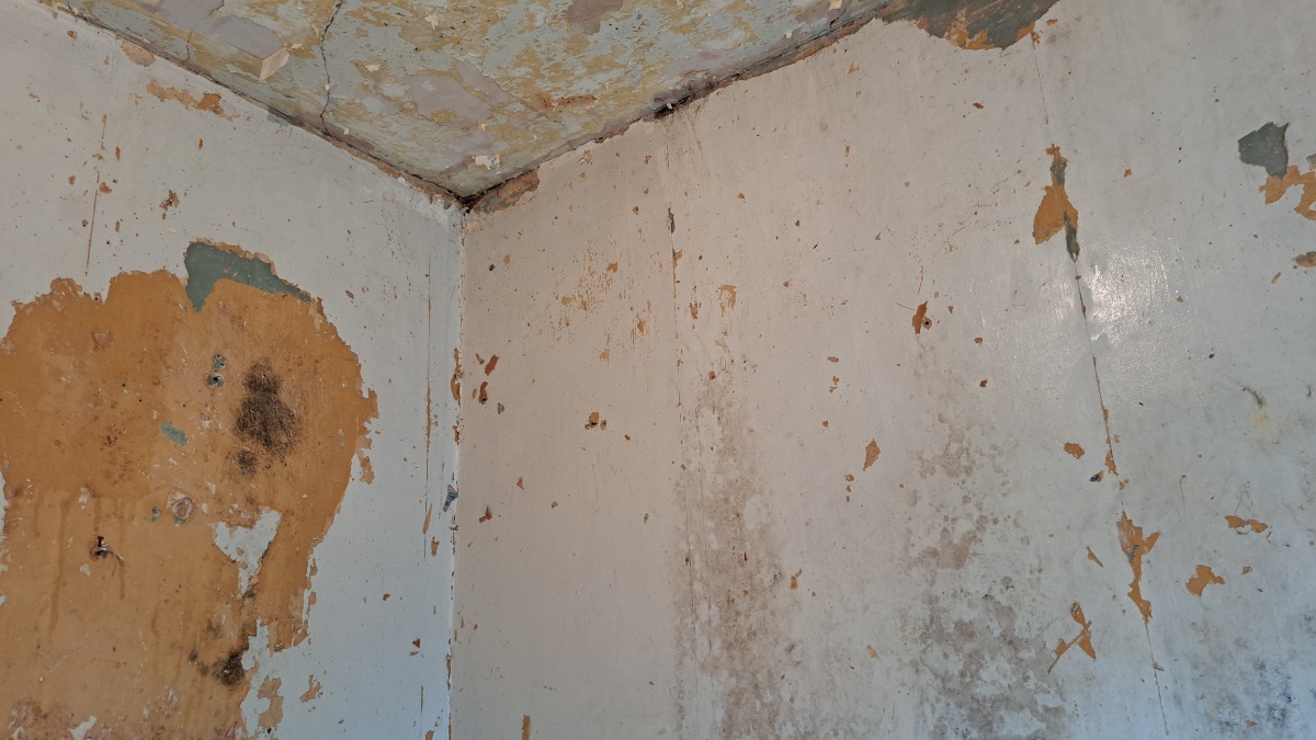 Handyman: Image 9